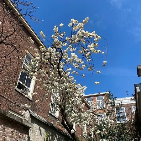 The Golden Gardens - R.q.c. *