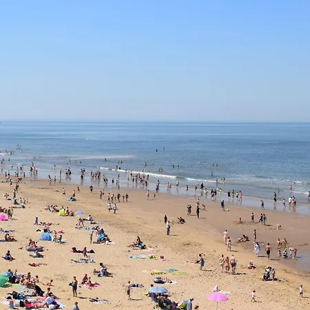 The Golden Gardens - R.q.c. האג