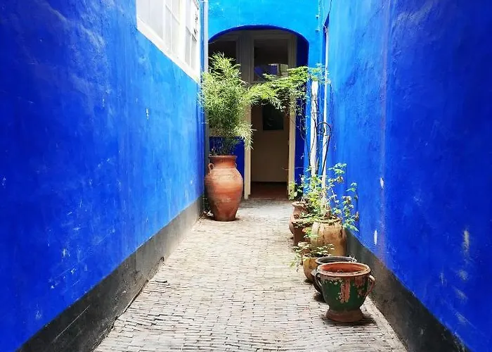 דירה The Golden Gardens - R.q.c. האג