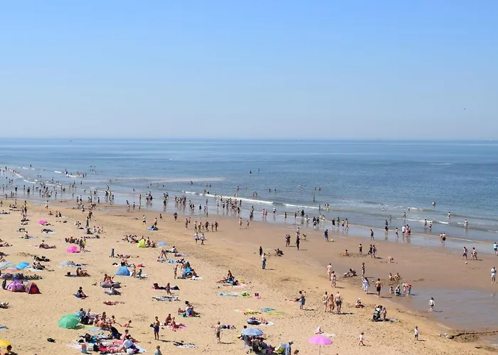 The Golden Gardens - R.q.c. Den Haag