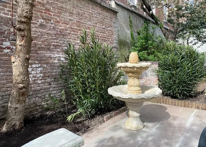 The Golden Gardens - R.q.c. La Haya