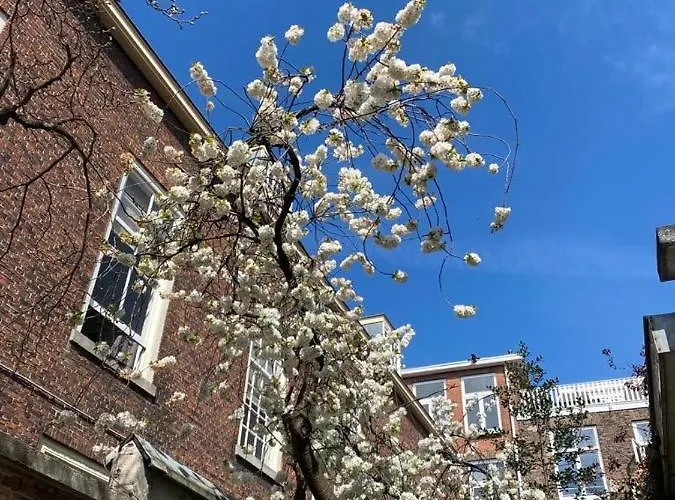 The Golden Gardens - R.q.c. *